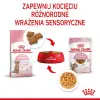 Royal Canin Kitten Sterilised karma mokra w galaretce dla kociąt od 4 do 12 miesiąca życia, sterylizowanych saszetka 85g