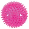 Zolux Zabawka TPR POP Piłka z kolcami 8cm różowa [479070FRA]