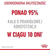 Royal Canin Digest Sensitive karma mokra w sosie dla kotów dorosłych, wrażliwy przewód pokarmowy saszetka 85g