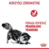 Royal Canin Digest Sensitive karma mokra w sosie dla kotów dorosłych, wrażliwy przewód pokarmowy saszetka 85g