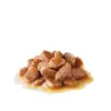 Royal Canin Digest Sensitive karma mokra w sosie dla kotów dorosłych, wrażliwy przewód pokarmowy saszetka 85g