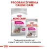 Royal Canin Exigent karma mokra dla wybrednych psów dorosłych, wszystkich ras, pasztet saszetka 85g