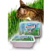 Super Benek Trawka szybkorosnąca dla kota 150g