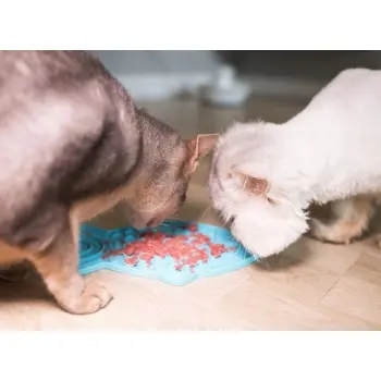 LickiMat Classic Felix Rybka fale miękka turkusowa