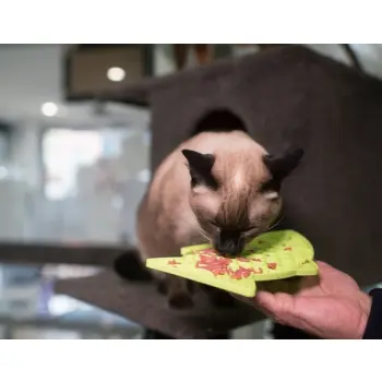 LickiMat Classic Felix Rybka fale miękka zielona