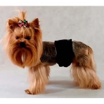 Grande Finale Pampas czarny - majtki dla samca rozmiar 1 [PA1/1]