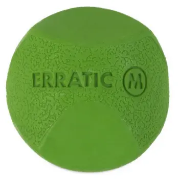 Chuckit! Erratic Ball Medium [201101]
