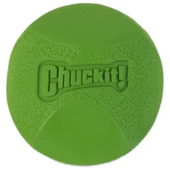 Chuckit! Erratic Ball Medium [201101]