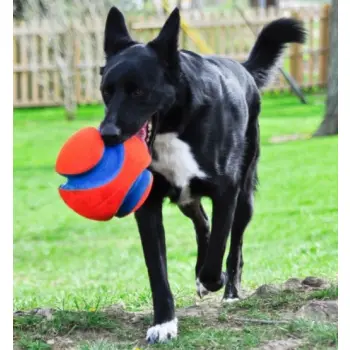 Chuckit! Kick Fetch Small [251101]