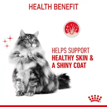 Royal Canin Intense Beauty w sosie karma mokra dla kotów dorosłych, zdrowa skóra, piękna sierść saszetka 85g
