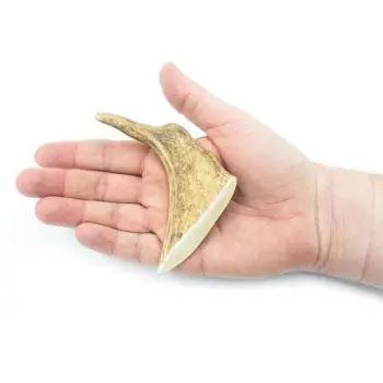 4DOGS Gryzak z poroża daniela S