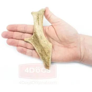 4DOGS Gryzak z poroża daniela M