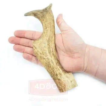 4DOGS Gryzak z poroża daniela XL