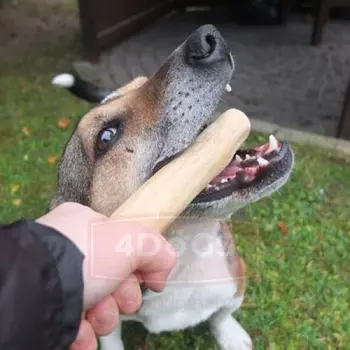 4DOGS Gryzak z drzewa kawowego S