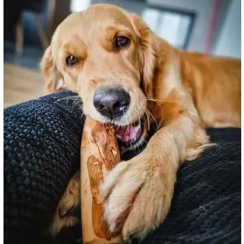 4DOGS Gryzak z drzewa oliwnego M