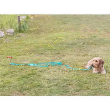 Trixie Wkręt do przywiązywania psa 40cm/9mm [TX-2259]