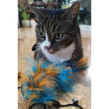 Dingo Wędka dla kota - ogonek z piór niebiesko-pomarańczowy