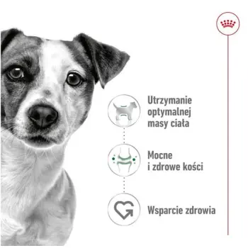 Royal Canin Mini Adult karma sucha dla psów dorosłych, ras małych 9kg (8+1kg)