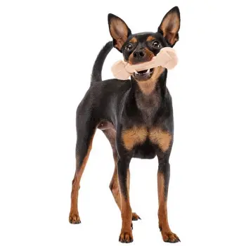 Ferplast GoodBite Natural SinglePack Szynka 1szt M 70g