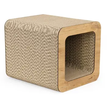 Gattino Drapak 10 Felek dąb lancelot