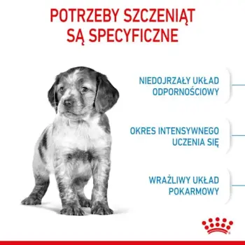 Royal Canin Medium Puppy karma sucha dla szczeniąt, od 2 do 12 miesiąca, ras średnich 4kg