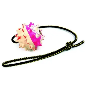 Dingo Zabawka dla psa - Piłka duża gumowa z kolcami na sznurze 60cm