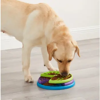 Nina Ottosson Lickin Layers - gra edukacyjna [70646]