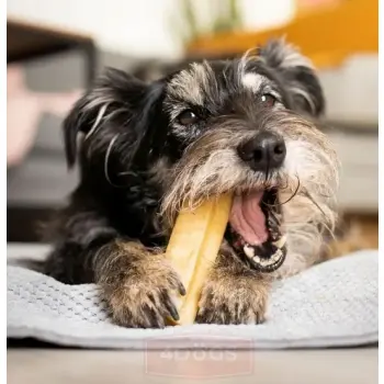 4DOGS Gryzak z sera himalajskiego Churpi Original M