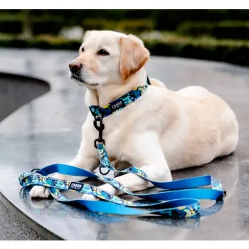 CHABA Obroża regulowana Story III S Carnival