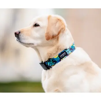 CHABA Obroża regulowana Story III M Carnival