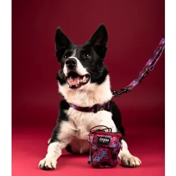 CHABA Obroża regulowana Story III M Lakota