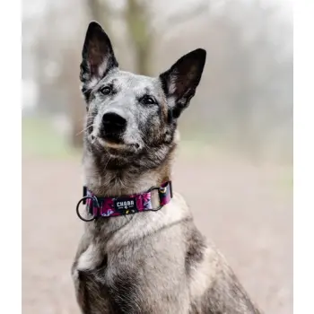 CHABA Obroża regulowana Story III M Lakota