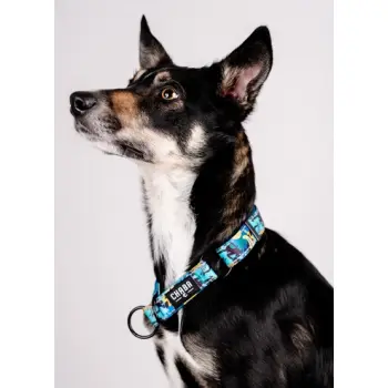 CHABA Obroża półzaciskowa Story III L Carnival