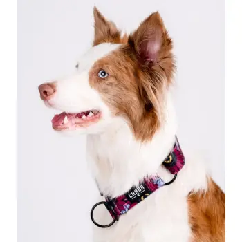 CHABA Obroża półzaciskowa Story III M Lakota