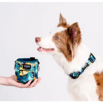 CHABA Saszetka na smakołyki Story III Multi 2w1 Carnival