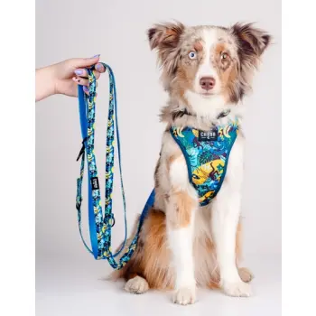 CHABA Smycz regulowana Story III L 25mm/260cm Carnival