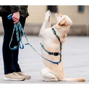 CHABA Smycz regulowana Story III L 25mm/260cm Carnival