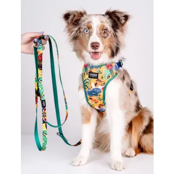 CHABA Smycz regulowana Story III L 25mm/260cm Jumbo