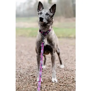 CHABA Smycz regulowana Story III M 20mm/260cm Lakota