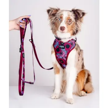 CHABA Smycz regulowana Story III L 25mm/260cm Lakota