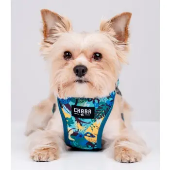 CHABA Szelki Guard Comfort Story III bezuciskowe S 1,6cm Carnival