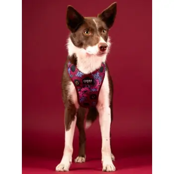 CHABA Szelki Guard Comfort Story III bezuciskowe L 2,0cm Lakota