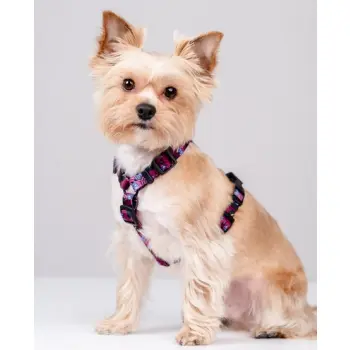 CHABA Szelki Guard Story III L 2,5cm Lakota