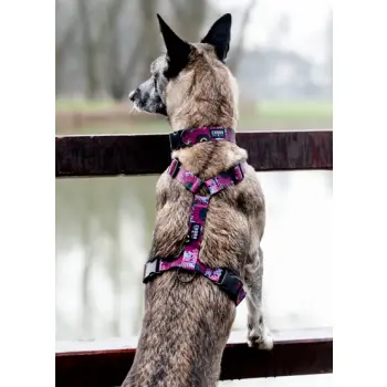 CHABA Szelki Guard Story III XL 3,0cm Lakota