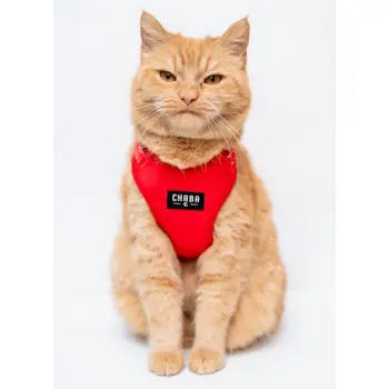 CHABA Szelki Guard Comfort Classic S czerwone