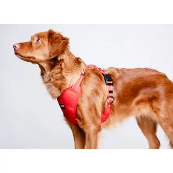 CHABA Szelki Guard Comfort Classic M czerwone