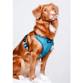 CHABA Szelki Guard Comfort Classic S morskie