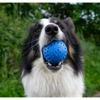Kiwi Walker Let's Play Ball Maxi piłka pomarańczowa
