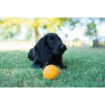 Kiwi Walker Let's Play Ball Mini piłka pomarańczowa