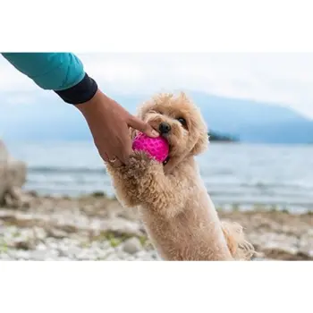 Kiwi Walker Let's Play Ball Mini piłka różowa